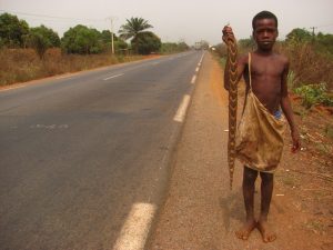 Afryka Zachodnia 11-konnym motocyklem – Sierra Leone, Gwinea, Gwinea-Bissau, Senegal, Gambia, Mauretania, Sahara Zachodnia, Maroko