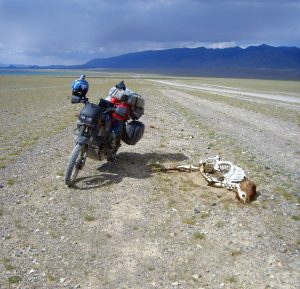 Mongolia. 17 tysięcy kilometr&oacute;w po bezdrożach Azji [Trasy motocyklowe]