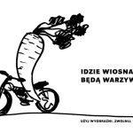 Polska policja widzi nas w taki spos&oacute;b