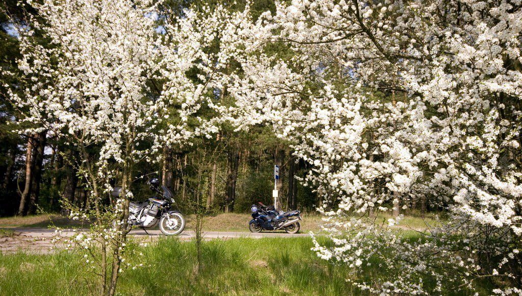 Suwalszczyzna wiosna