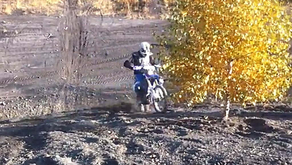 Drzewo atakuje bikera