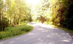 Nawierzchnia jest zr&oacute;żnicowana asfalt miejscami jest kiepskiej jakości