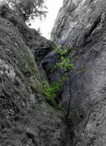 To naprawdę wyjątkowe miejsce