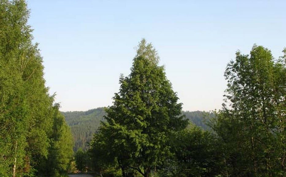 Przełęcz Salmopolska