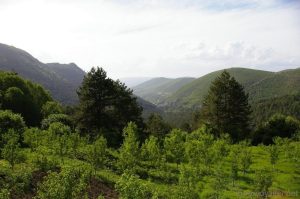 Albania. Nieskażony globalizacją zakątek Europy