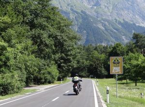 Goniąc alpejskie wiraże. Wyprawa głosem motocykla [PODR&Oacute;ŻE]