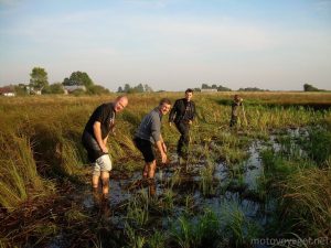 Dolina Biebrzy. Pomysł na cichy i smaczny weekend