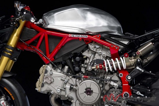 Panigale Naked (17)