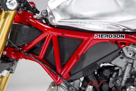 Panigale Naked (18)