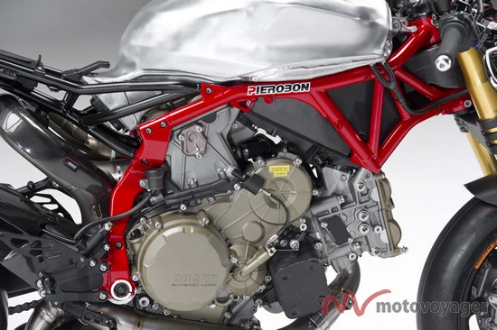 Panigale Naked (19)