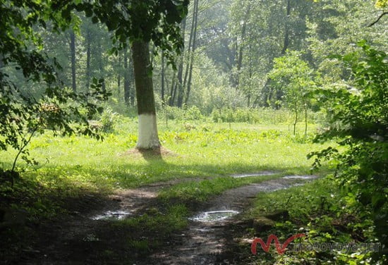 Dookoła Polski (32)