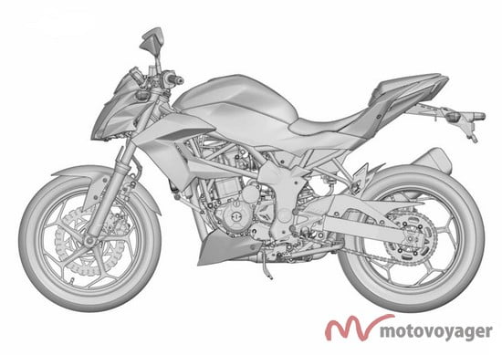Ninja 250 RR Mono (1)