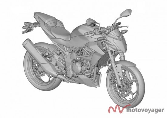 Ninja 250 RR Mono (2)