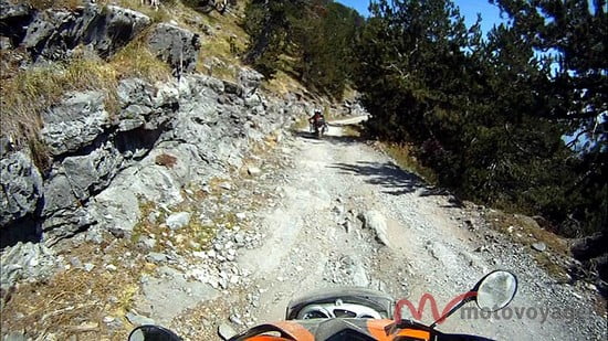 Albania (31)