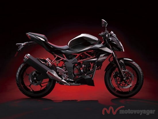 Kawasaki Z250SL (9)