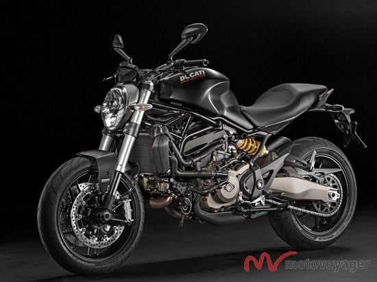 Ducati Monster 821 (9)