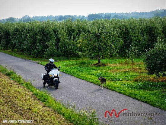 Honda CTX700 (33)