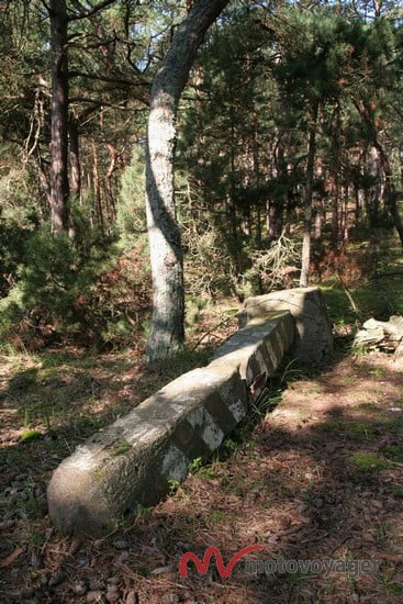 Roszkowski Wybrzeże (4)