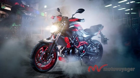 MT-07 Moto Cage (6)