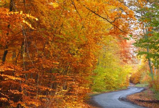 Wstęga-Ińska-Ińsko