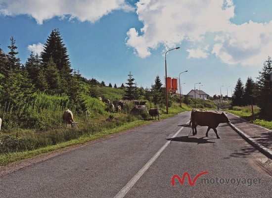 MalDuzy Balkany (23)