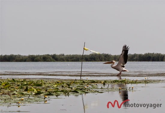 Rumunia po raz drugi (17)