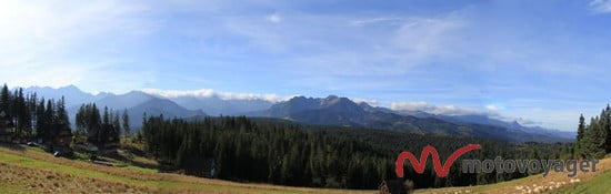 Droga Oswalda Balzera (1)