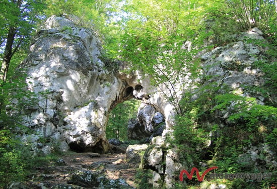 Szlak Orlich Gniazd_16