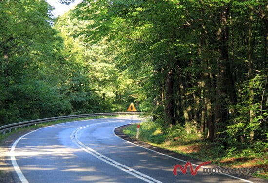 Szlak Orlich Gniazd_17