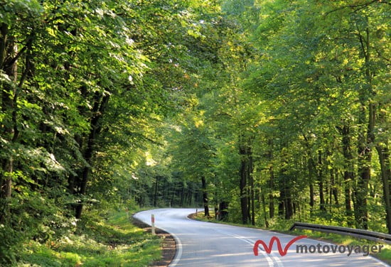 Szlak Orlich Gniazd_18