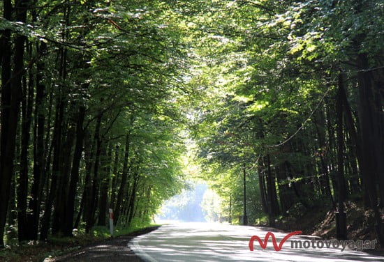 Szlak Orlich Gniazd_21