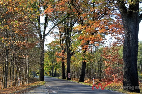 Olsztynek-Szczytno (1)