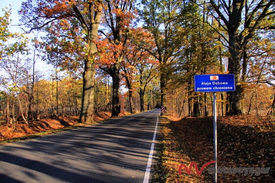 Olsztynek-Szczytno (2)