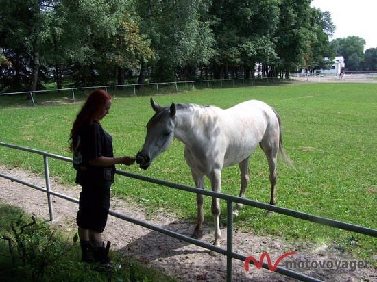 Woodstock dookoła Polski (28)