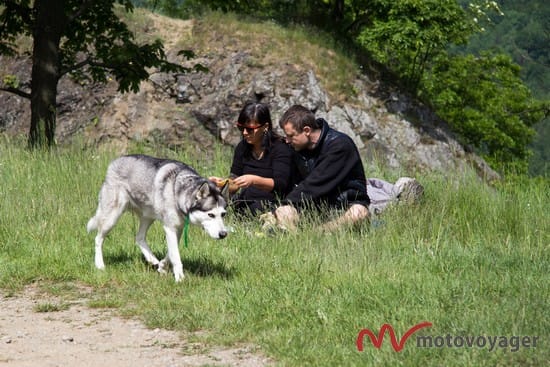 Podr&oacute;żni (11)