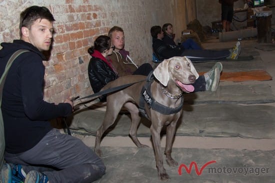 Podr&oacute;żni (20)