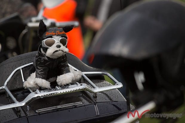 Motoslet 2015 Minsk (23)