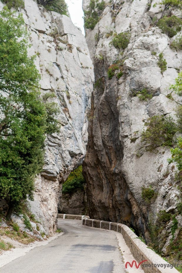 Prowansja Zborek Groszek(2)