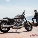 H-D Roadster 2016 (1) H D Roadster
