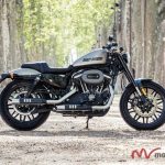 H-D Roadster 2016 (3) H D Roadster