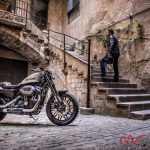 H-D Roadster 2016 (5) H D Roadster