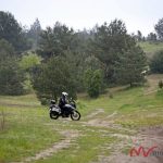 Wolność i Przygoda