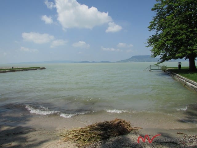 Dwa GSy z r&oacute;żnych bajek (3)