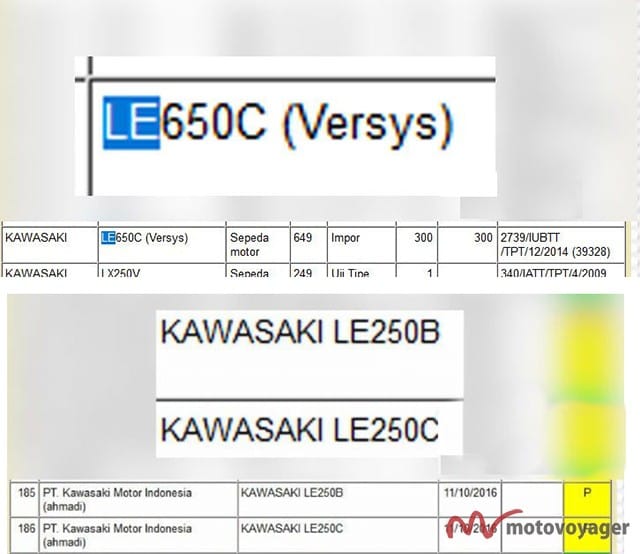 Kawasaki Versys 250(2)