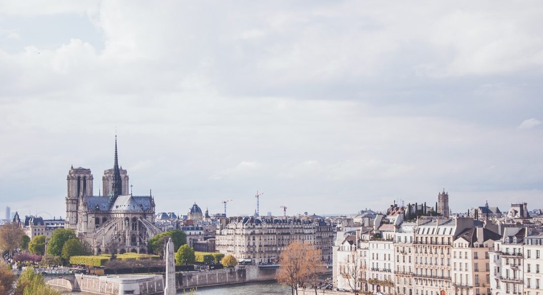 katedra notredame w paryzu