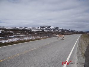 norwegia nordkapp