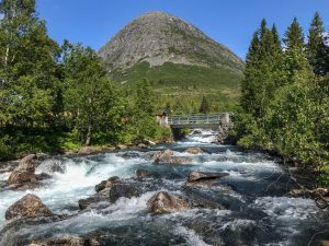 Norwegia