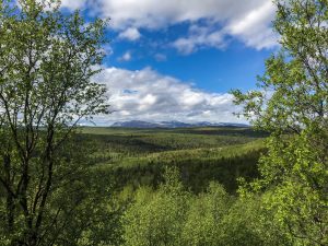 Norwegia
