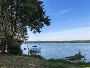 Mazury Held