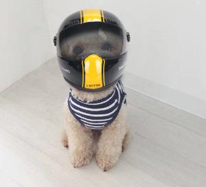 Petshy Petshy